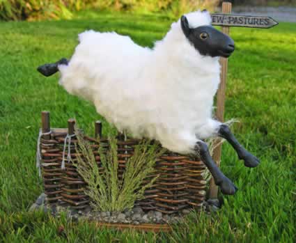Sheep Jumping Hurdle